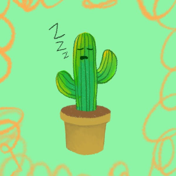 Sleeping cactus