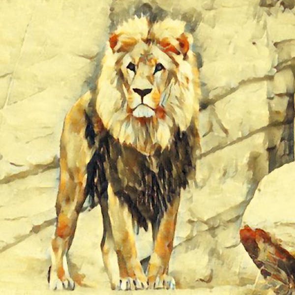 The Lion #AnimalEdititon_07