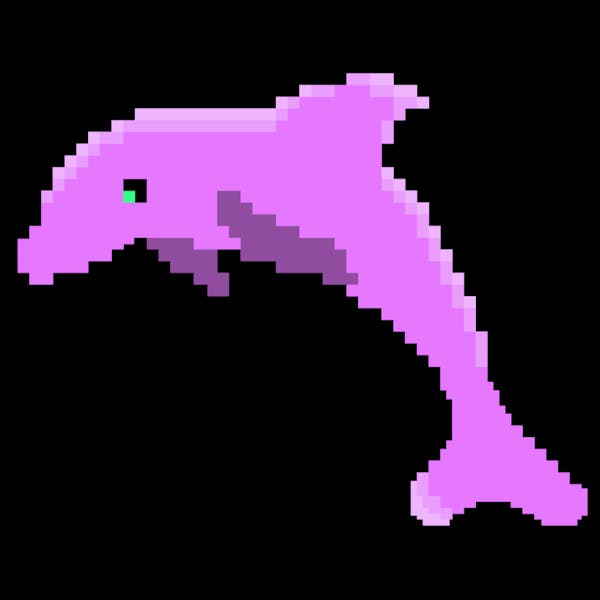 Dolphin #9