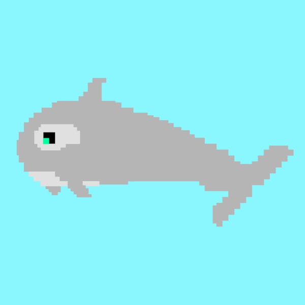 Orca #7