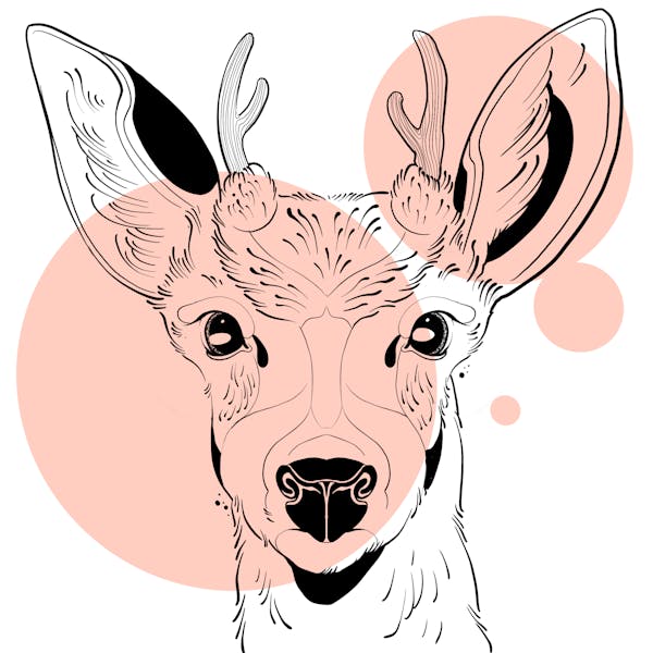 Linework Deer