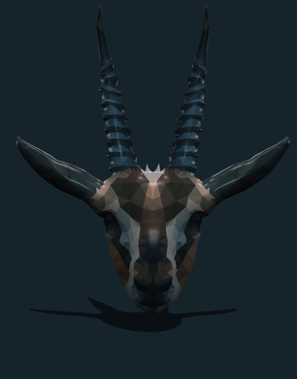Animal Head #4 - Antelope