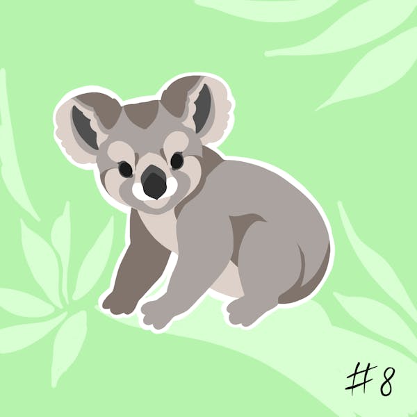 Sticker No. 8 - Koala