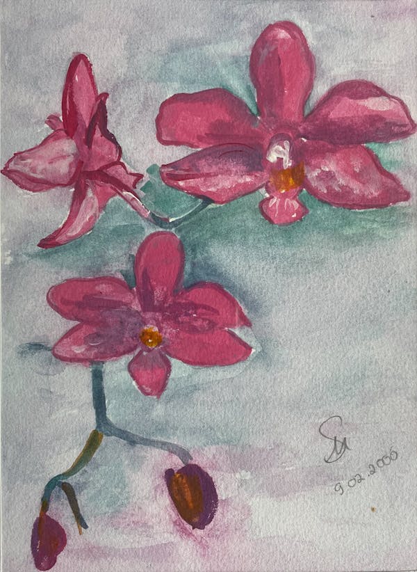 Watercolor #2 - Orchid