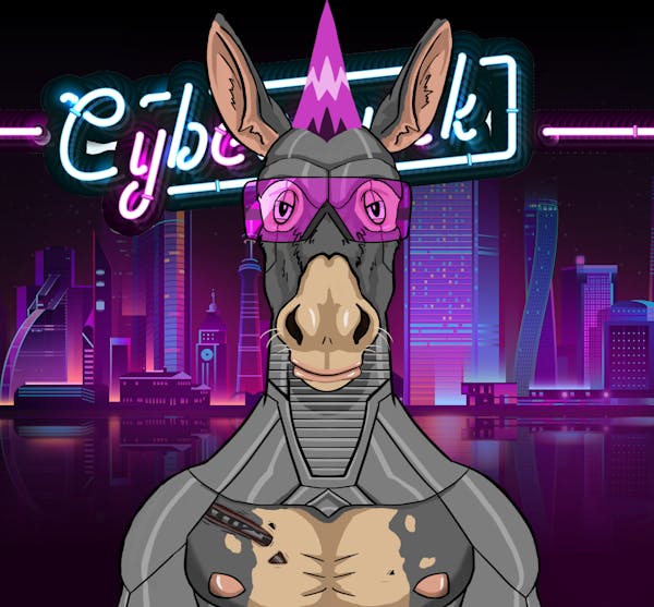 NoSenseDonkeyClub Cyberpunk 