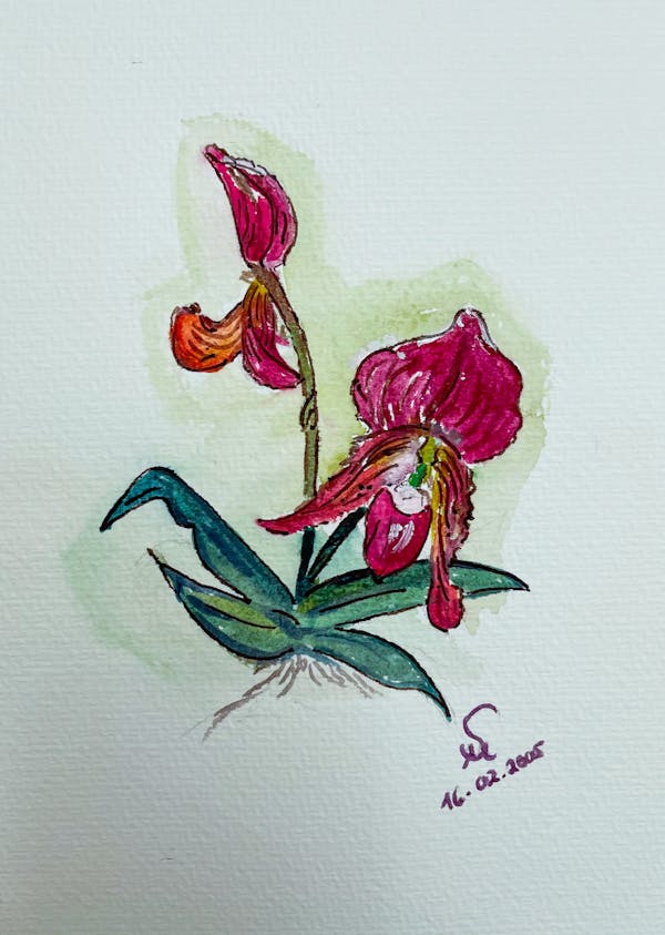Watercolor 4# - Orchid