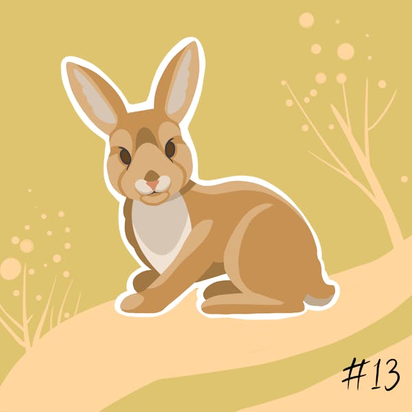 Sticker No. 13 - Rabbit