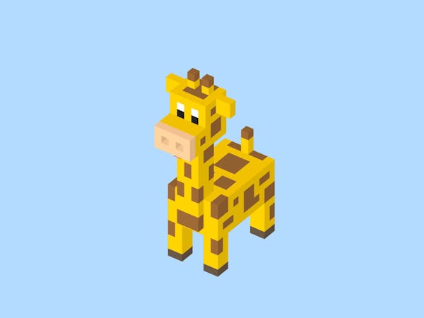 Baby Giraffe 🦓 Limited 1/1 