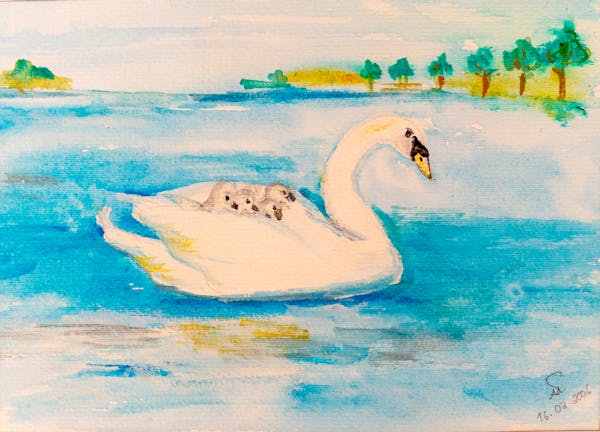 Watercolor #5 - Swan family