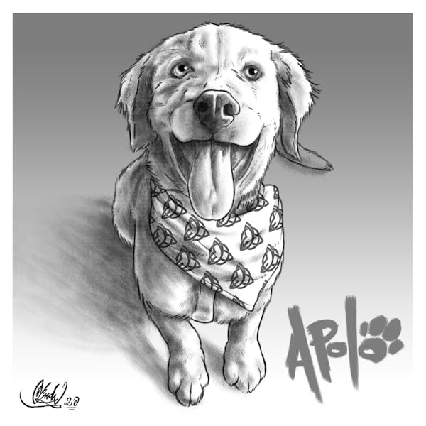Apolo the dog (in grayscale)