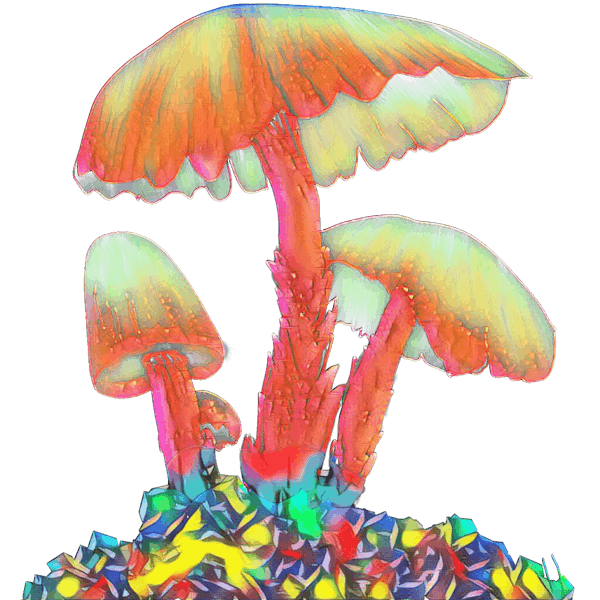Mushrooms #8