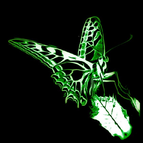 Free Butterfly v13