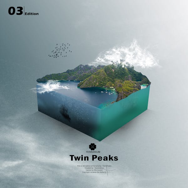Terrarium (3) - Twin Peaks