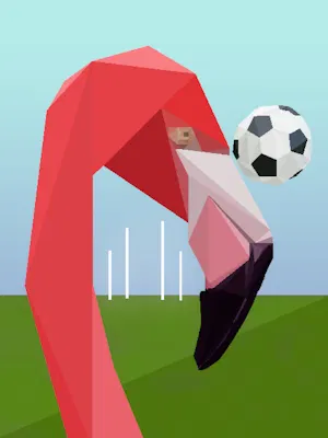 Flamingo #24 - Footy Season