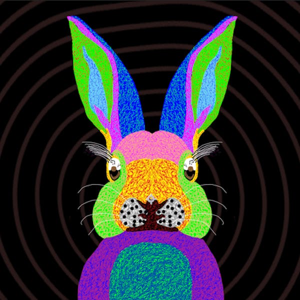 VIVID 3/5- Rabbit