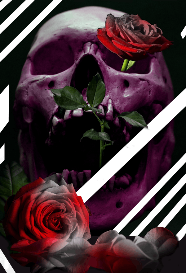 Death and a Rose