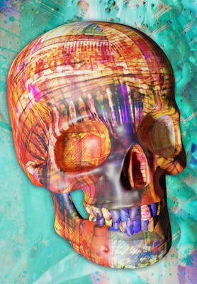 Luvcraft Art Skull #074