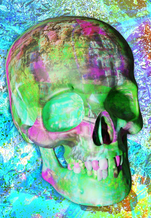 Luvcraft Art Skull #081