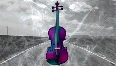 Violin #1