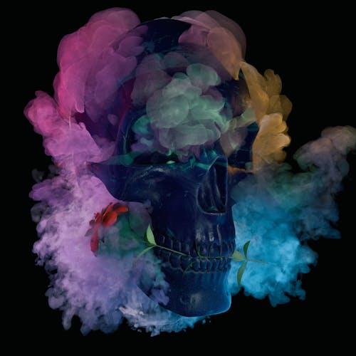 Rosa ac Fumigans Cranium