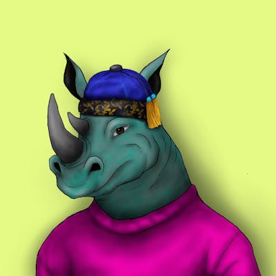 Rhino 13