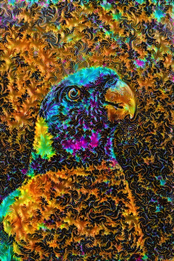 The Fractal Parrot