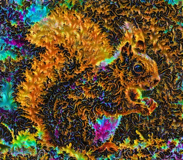 The Fractal Squirrel