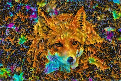 The Fractal Fox