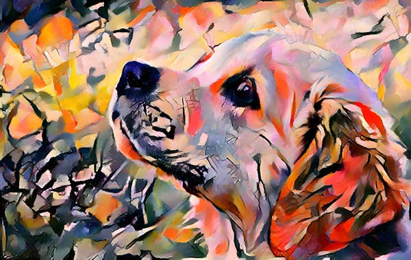 Wassily Kandinsky's Dog #2