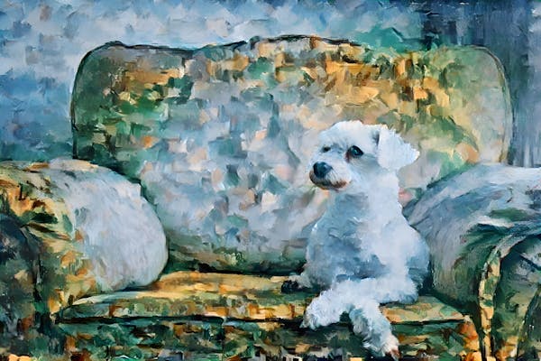 Paul Cezanne's Poodle