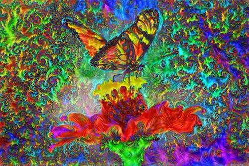 The Fractal Butterfly