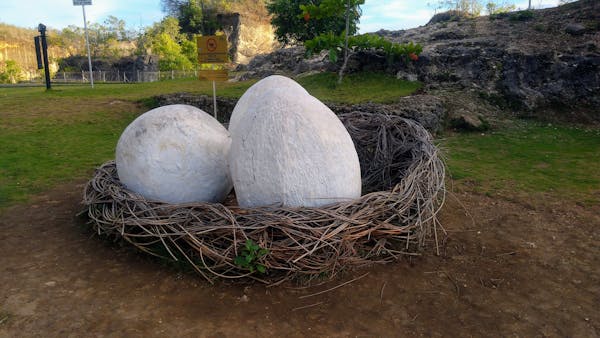 Egg of Garuda