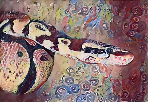 Gustav Klimt's Python