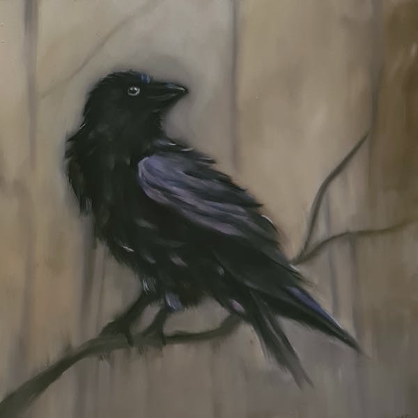 The black crow