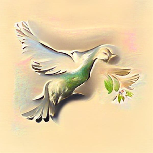 Peace dove for Ukraine(100% for Ukraine Help Wallet)
