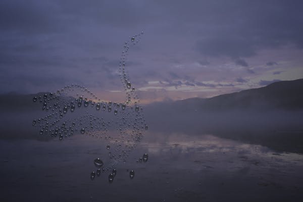 lakes and polka-dot birds
