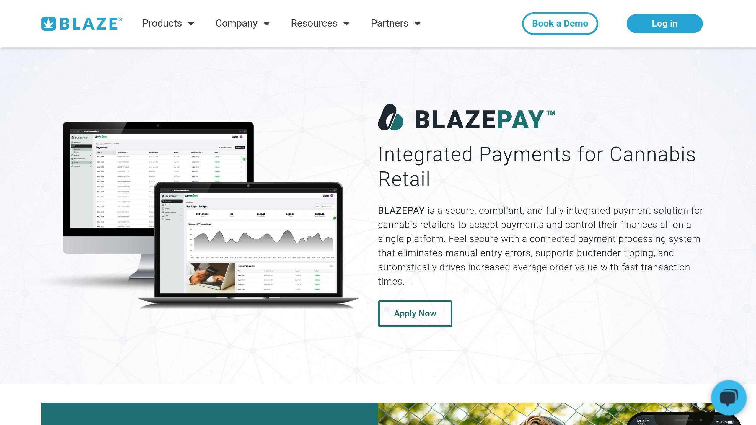 BLAZEPAY