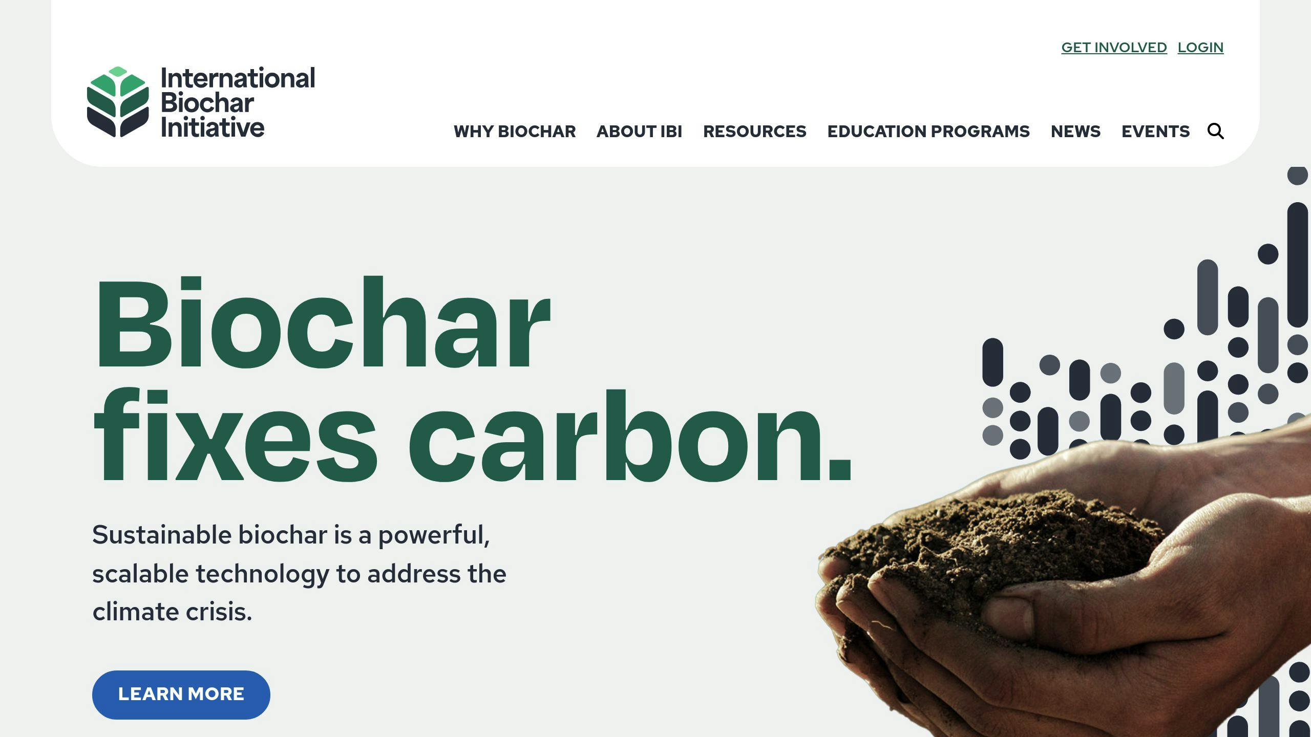 International Biochar Initiative