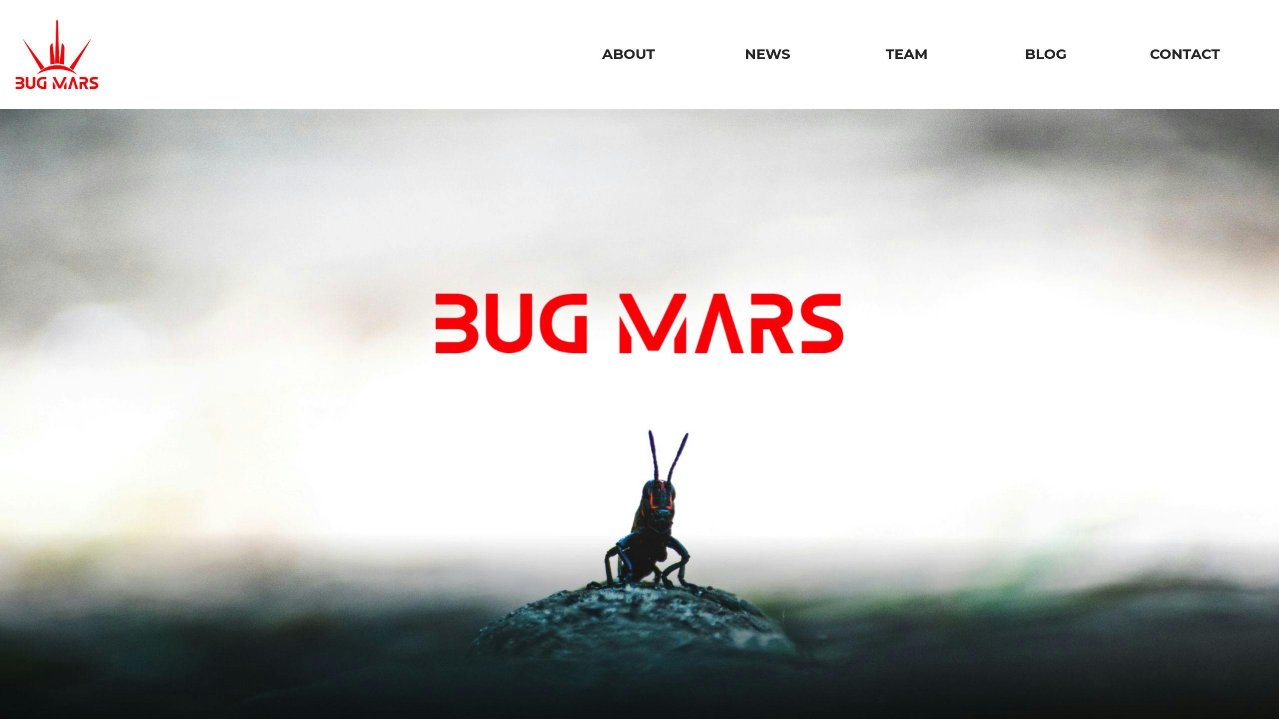 Bug Mars