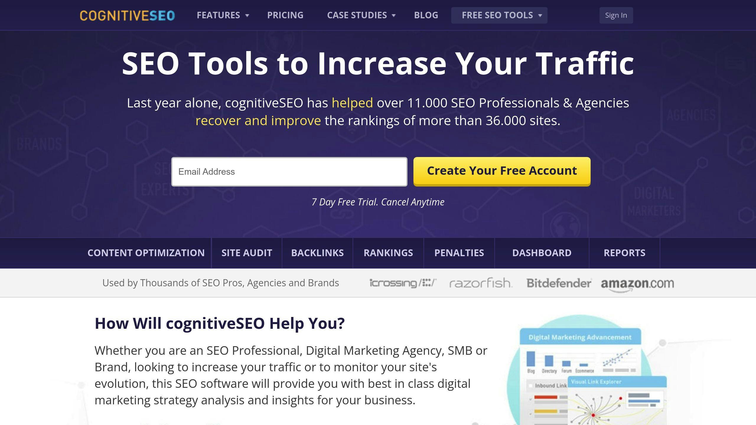 CognitiveSEO