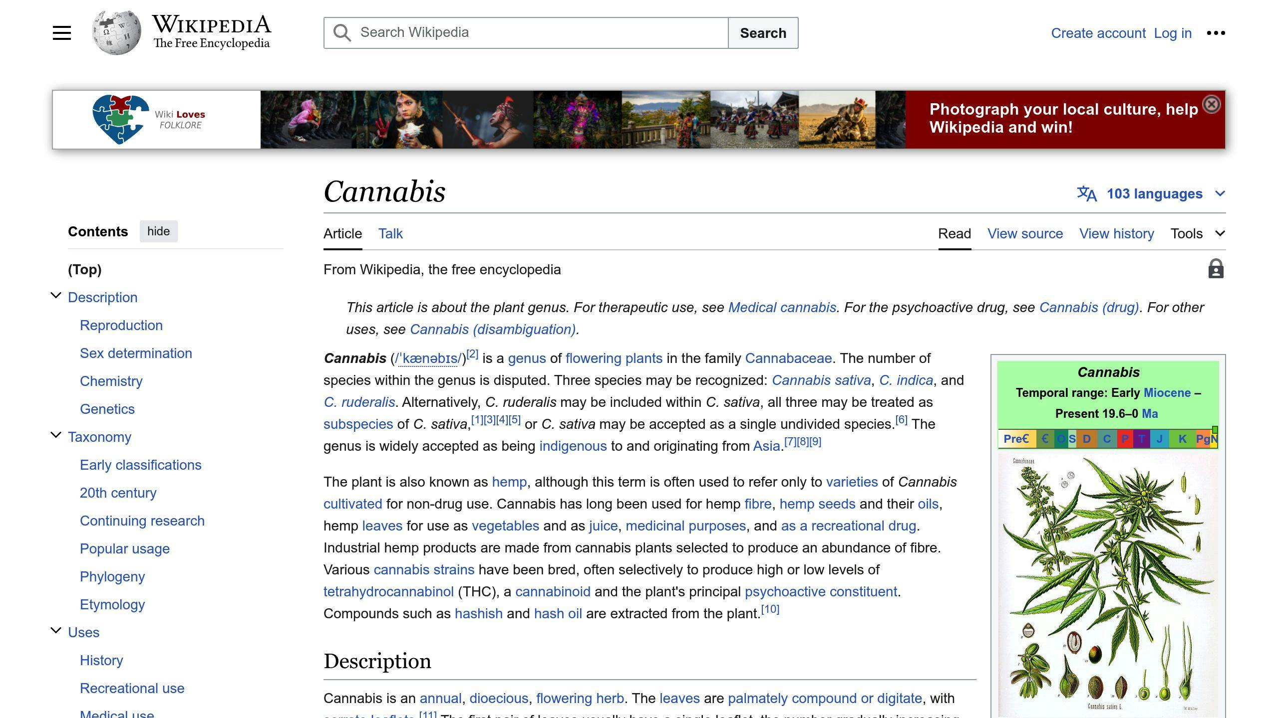 Cannabis