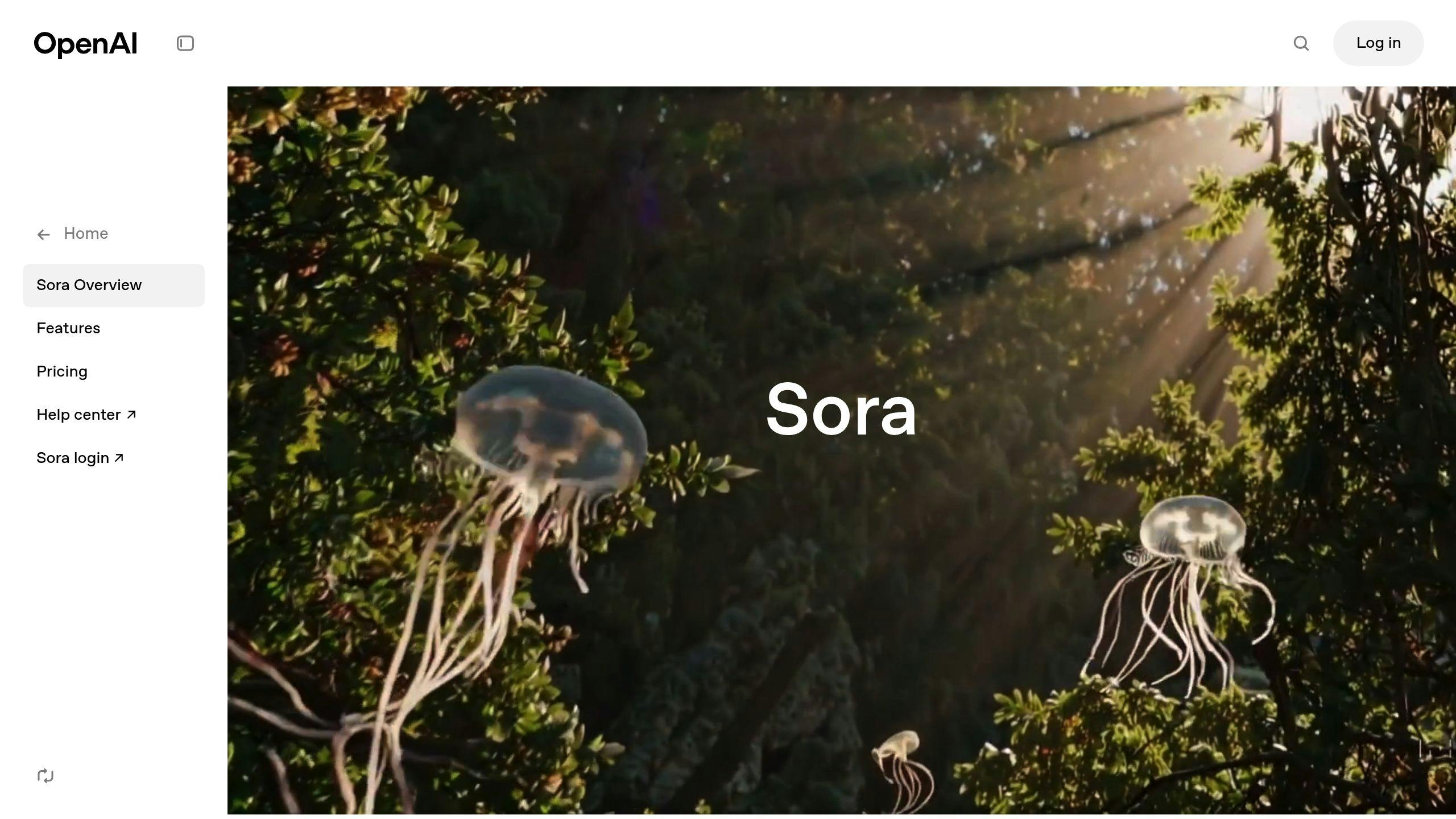 Sora