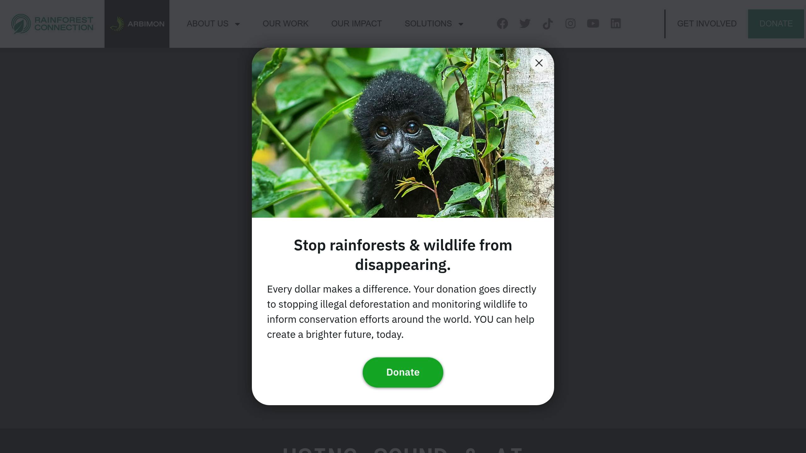 Rainforest Connection