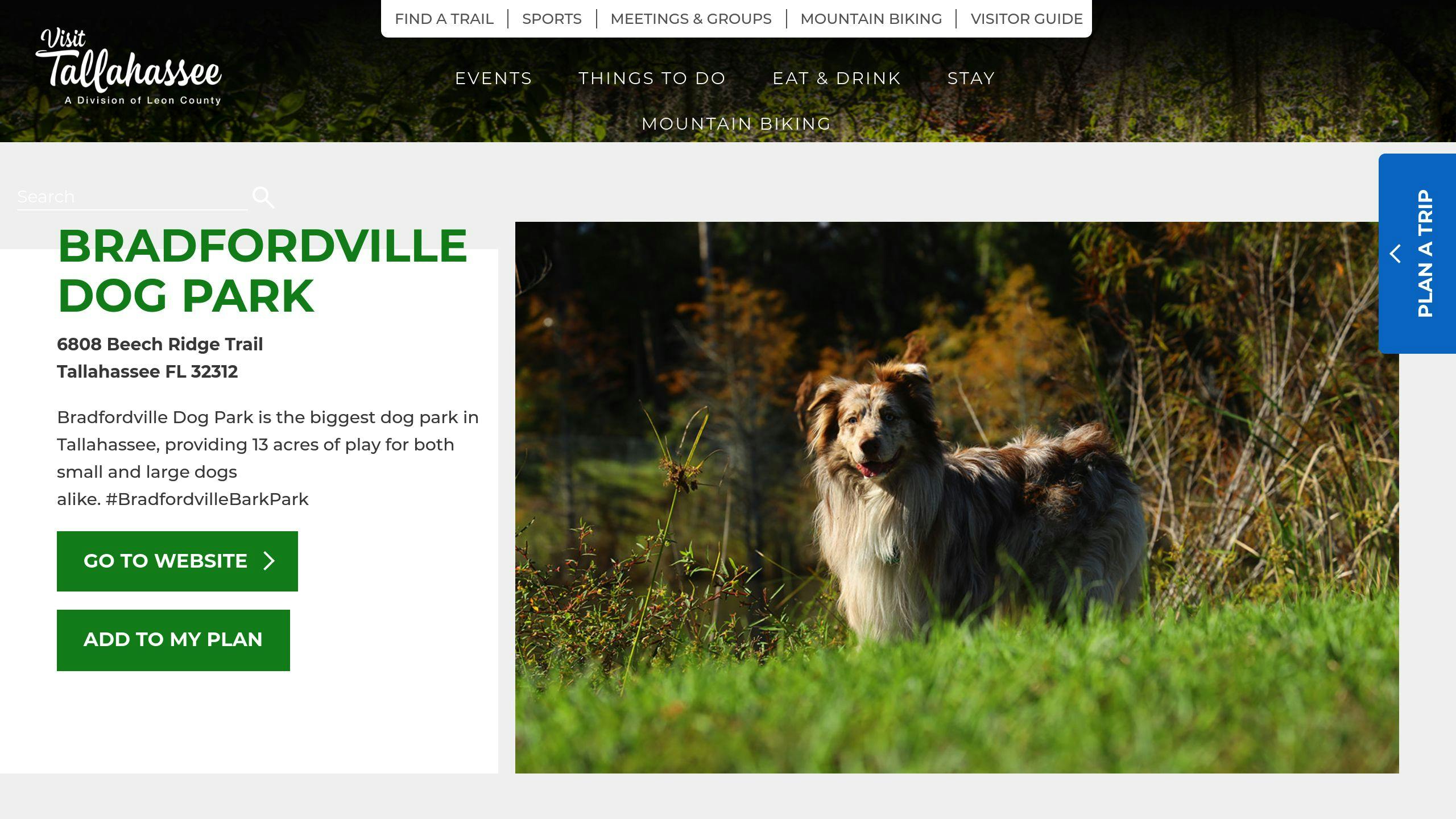 Bradfordville Dog Park