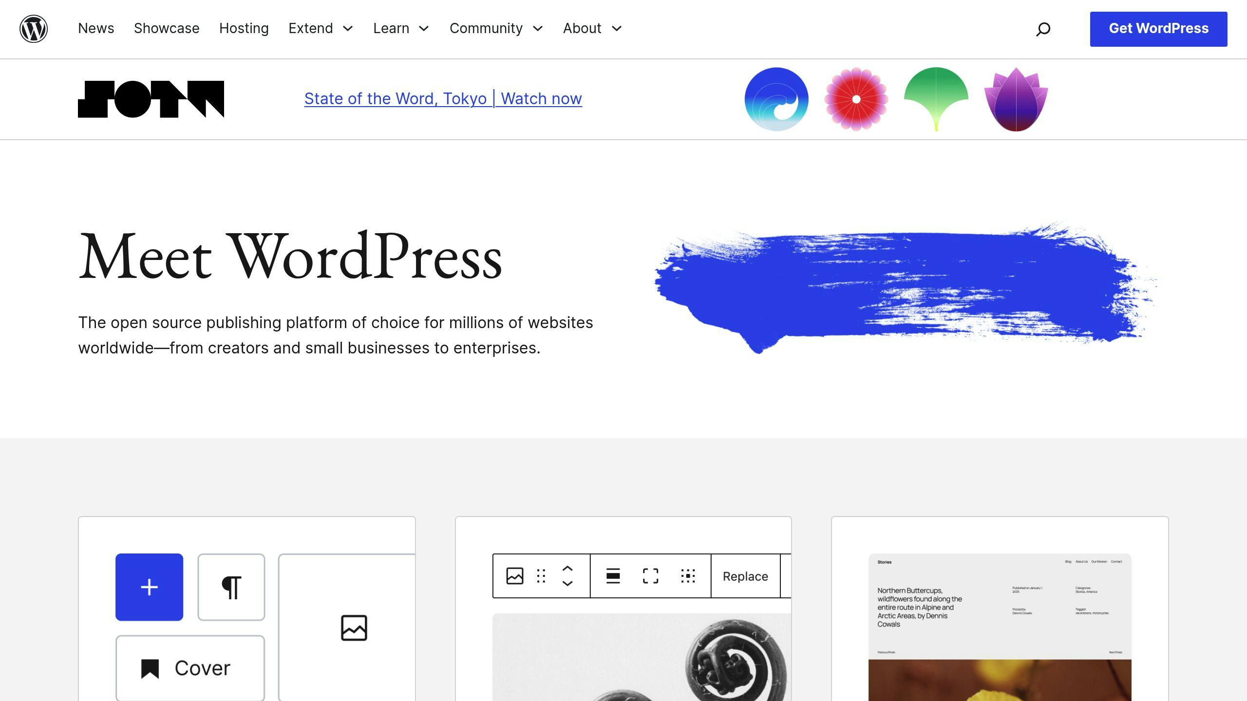 WordPress