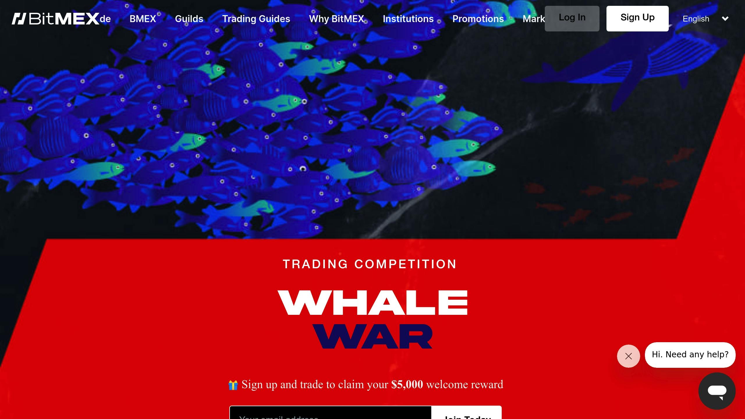 BitMEX