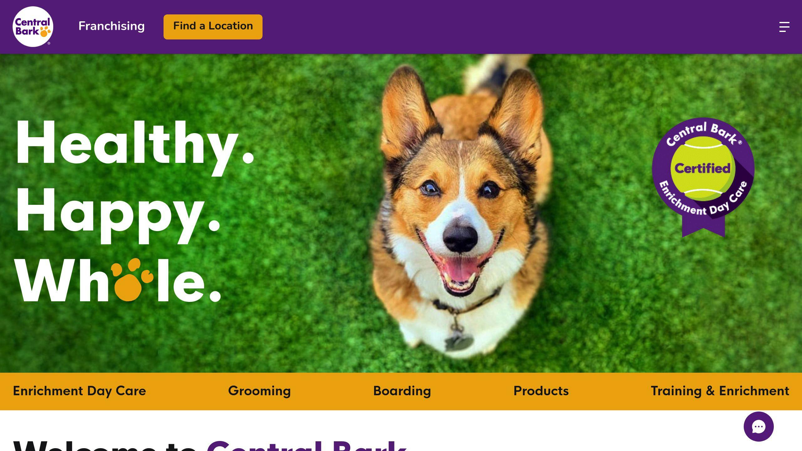 Central Bark Doggy Daycare