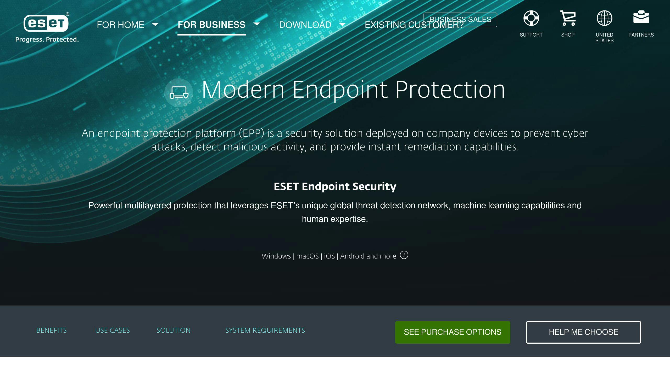 ESET Endpoint Security