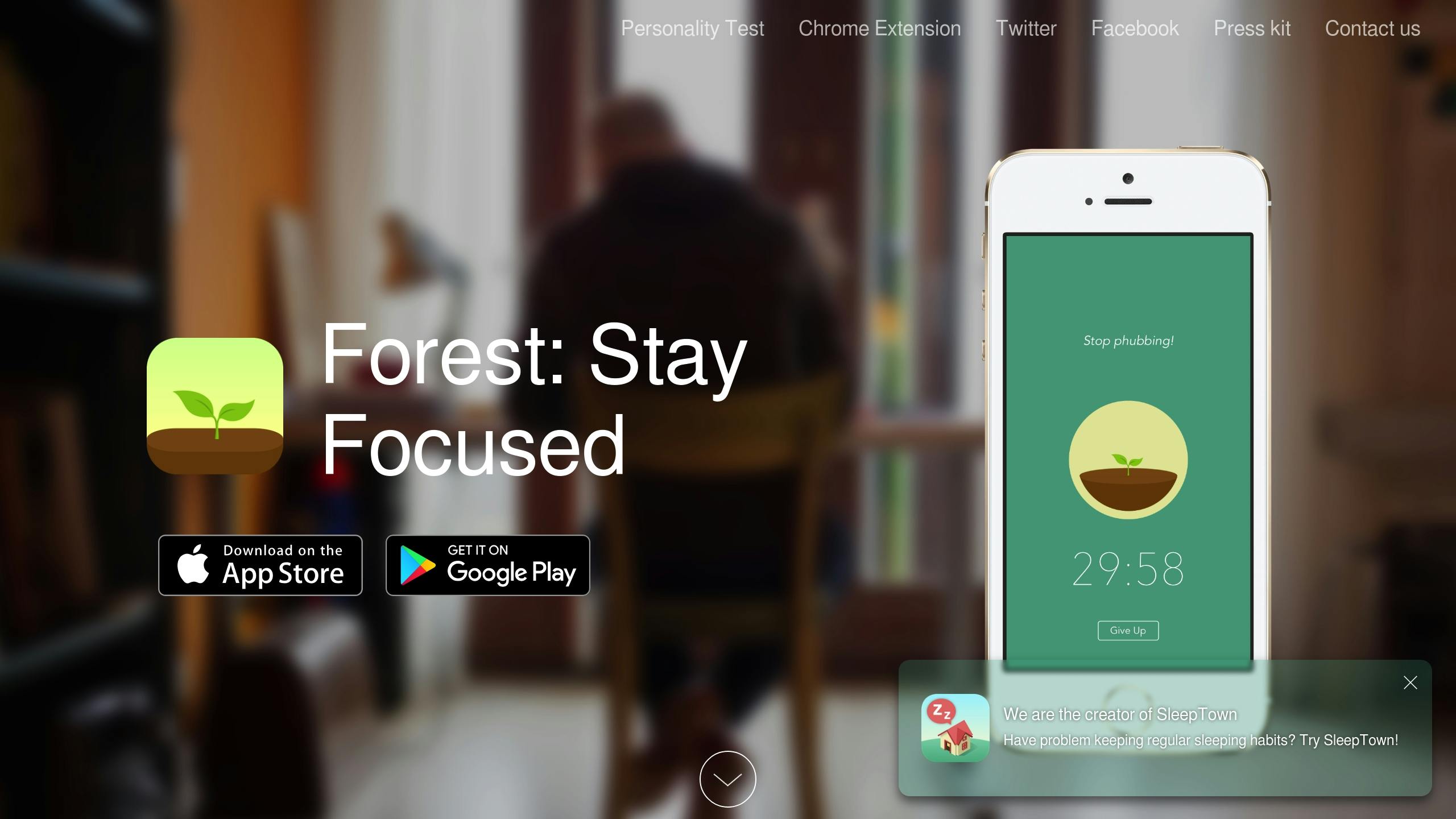 Forest