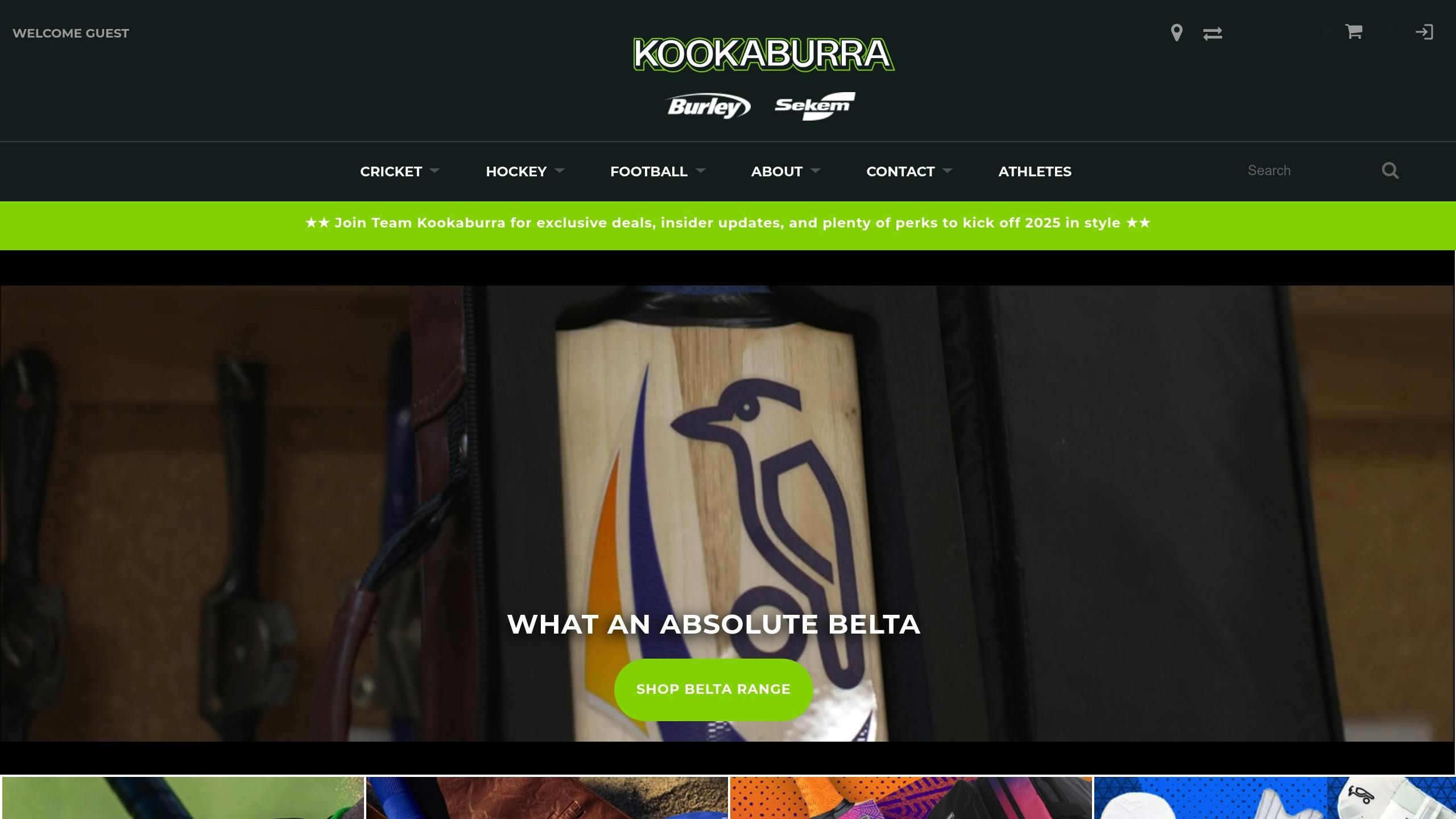 Kookaburra